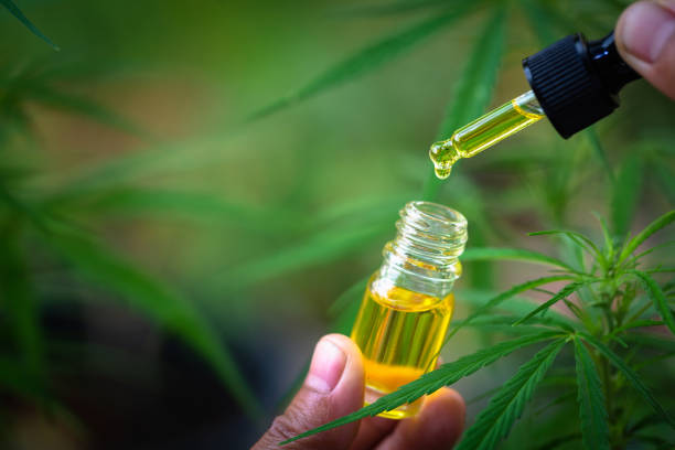 How Much CBD Oil is Needed